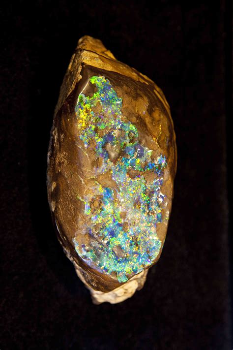 interesting facts   opal