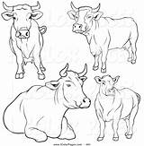 Cows Clipart Cow Farm Cattle Animals Outline Coloring Drawing Animal Drawings Pages Google Easy Vector Sketches Great Painting Sketch Illustration sketch template