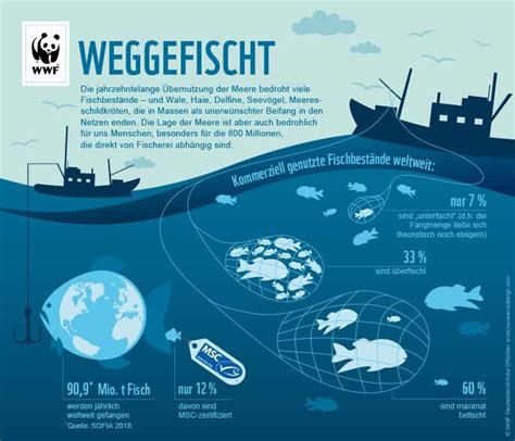 facts data statistics figures  overfishing careelite