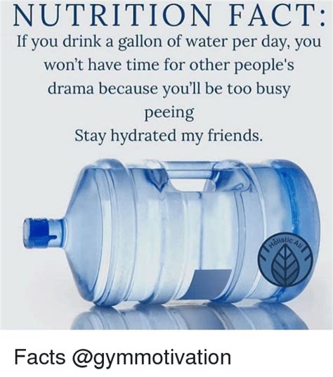 25 best memes about stay hydrated stay hydrated memes