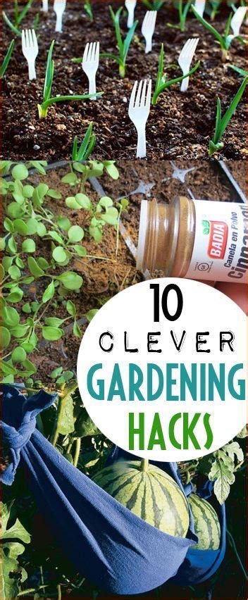 gardening hacks 17 diy home for you