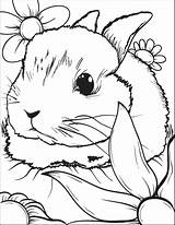 Bunny Coloring Rabbit Printable Flowers Kids sketch template