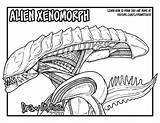 Xenomorph Alien Drawing Coloring Pages Movie Draw Easy Franchise Tutorial Getdrawings Getcolorings Drawings Paintingvalley Too Color sketch template