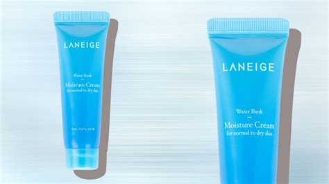 laneige water bank moisture cream is dry skin s nemesis — review allure