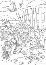 Sea Coloring Shells Zahlen Favoreads Erwachsene Colorare Dibujos Sommer Mal Mandalas Schablonen Numeri Wenn Du Vorschule Disegni Nature sketch template