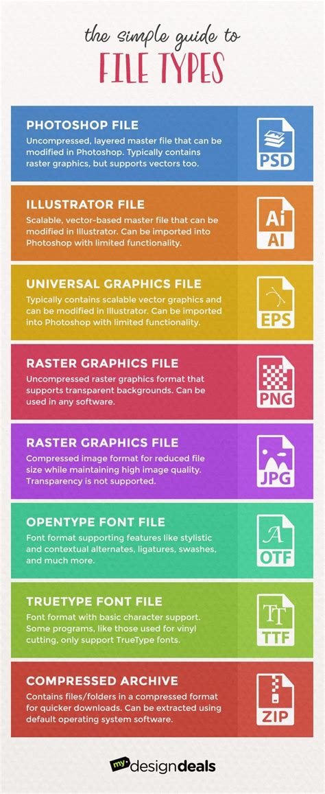 simple guide  file types infographic facts
