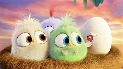hatchlings angry birds hd movies  wallpapers images backgrounds