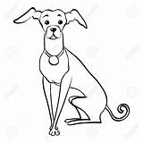 Greyhound Drawing Italian Dog Funny Sketch Sitting Vector Line Getdrawings Breed Hand Alamy Stock Preview sketch template