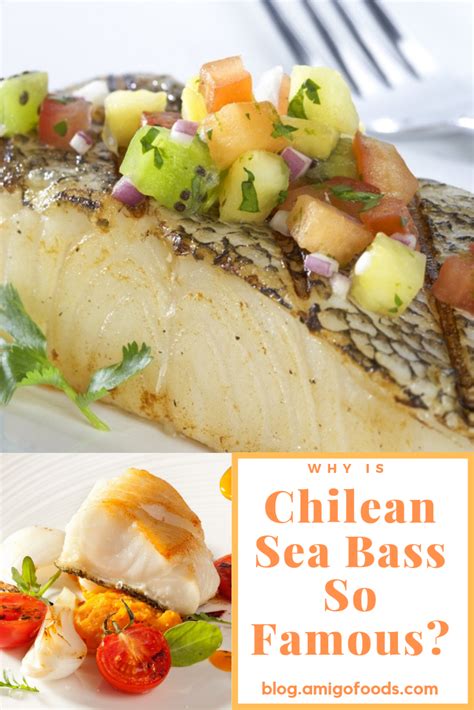 Why Is Chilean Sea Bass So Famous Seafood Dinner Chilean Sea Bass