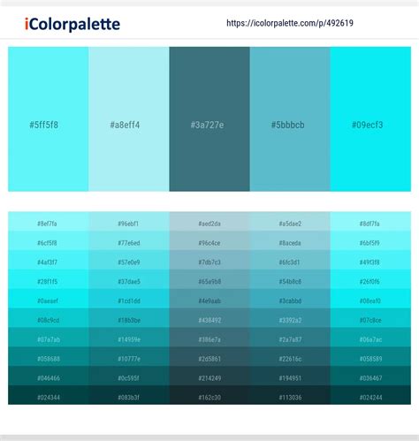 latest color schemes  pale turquoise  aqua color tone combinations  icolorpalette