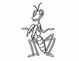 Cricket Coloring Coloringcrew Happy sketch template