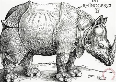 albrecht durer  rhinoceros painting  rhinoceros print  sale
