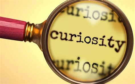 professional curiosity  understand social  emotional