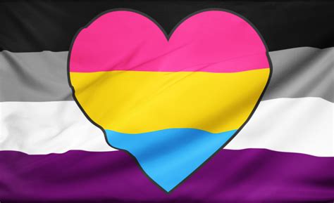 Asexual Panromantic Flag Pride Nation