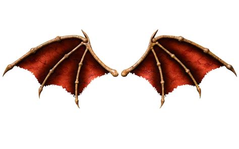 devil wings demon wing plumage isolated  white background photo