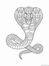 Cobra Coloring4free 2021 Sheets Coloring Animal Printable Pages 1122 Related sketch template