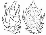 Pitahaya Fruta Pitaya sketch template