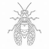 Wasp sketch template