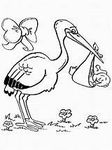 Coloring Baby Pages Stork Shower Storks Movie Chickadee Printable Kids Printables Drawing Print Birds Color Newborn Bird Cardinal Getcolorings Getdrawings sketch template