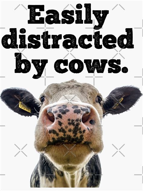 Funny Moo Cow Dairy Cow Appreciation Saying Easily Distracted By