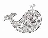 Whale Zentangle Coloring Adult Pages Adults Drawn Beautiful Style sketch template