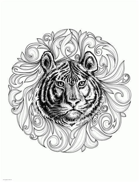 animal coloring pages  adults realistic tiger coloring pages
