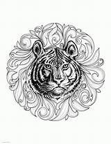 Coloring Pages Animal Adults Realistic Tiger Printable Adult Print Animals Colouring Sheets Face Look Other sketch template
