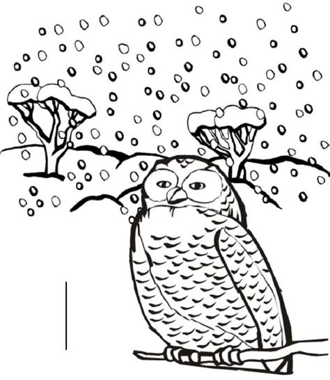winter animals coloring pages owl coloring pages winter animals