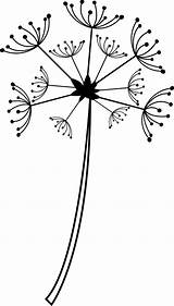 Pusteblume Malvorlage Pusteblumen Kinderbilder Druck Deine Welt sketch template