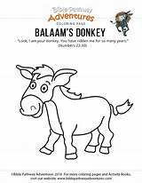 Donkey Balaam Coloring Bible His Pages Worksheet Kids Sunday School Balaams Printable Colouring Pathway Homeschooling Download1 Sabbath Lessons Template Adventures sketch template