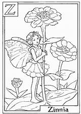 Zinnia Malvorlagen Kolorowanki Kwiaty Dzieci Dla Fairies Colouring Ausmalen Ausmalbilder Bestcoloringpagesforkids Erwachsene sketch template