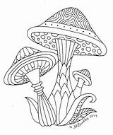 Drawing Mushrooms Colouring Mushroom Pages Toadstools Coloring Toadstool Quilt Mandala Adult Doodle Rat Adults Printable Sheets Zentangle Tattoo Di House sketch template