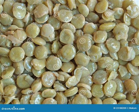 cooked green lentils stock photo image  wallpaper