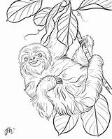 Sloth Coloring sketch template