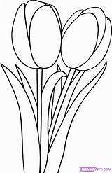 Tulip Drawing Outline Coloring Tulips Line Flowers Pages Draw Flower Clipart Simple Para Color Clip Popular Drawings Dibujos Tulipas Step sketch template
