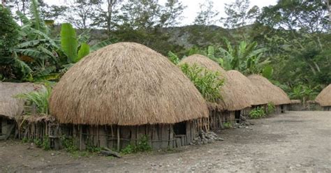 rumah adat papua rumah honai gambar  penjelasannya adat tradisional