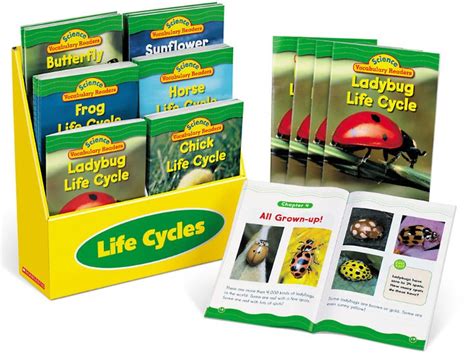 life cycles vocabulary readers science readers life cycles vocabulary