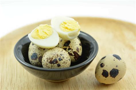 Quail Eggs Health Benefits Recipes And More Heritage Acres Market Llc