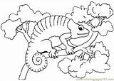 Chameleon Coloring Pages Mixed Colorear Para Printable Carle Eric Color Camaleon Printables Animals Dibujos Animales Kids 1413 Cameleon Sheets Template sketch template