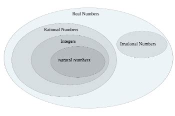 classifying numbers activities studycom