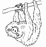 Sloth Coloring Toed Two Pages Color Printable Sloths Clipart Drawing sketch template