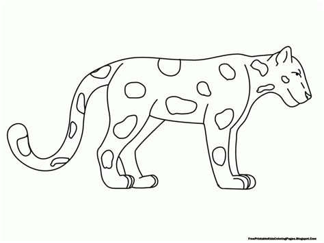 coloring pages animal classification rainforest animals drawings