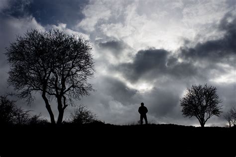 무료 이미지 경치 나무 자연 수평선 실루엣 구름 검정색과 흰색 하늘 일몰 안개 햇빛 아침 새벽 분위기