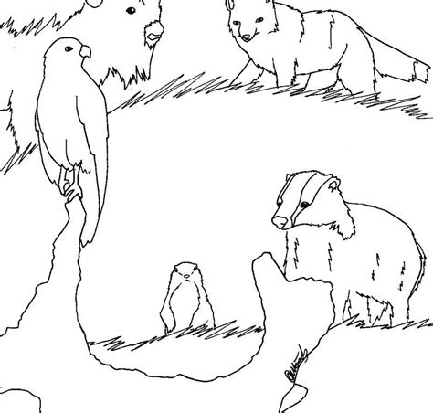 african animals coloring pages animal coloring pages safari animal