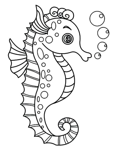 seahorse drawing outline  getdrawings