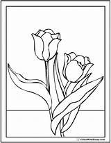 Tulip Tulips Windy sketch template