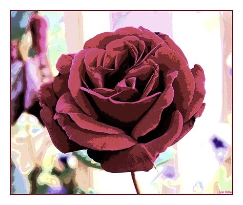 Dusky Rose Digital Art By Patricia Wetzel