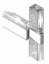 Mortise Dovetail Tenon Blind Assembled sketch template