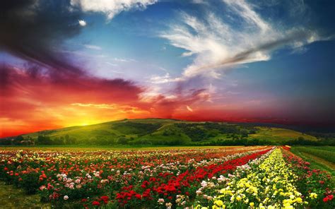 beautiful outdoor scenery wallpaper beautiful landscape scenery rose valley countryside