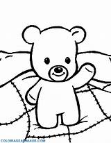 Ours Peluche Facile Nounours Ourson Oursons sketch template